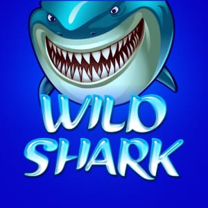 Wild Shark