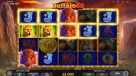 Buffalo 50