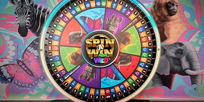 Spin a Win Live Wild