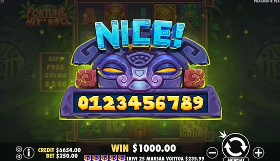 Fortune Hit’n Roll