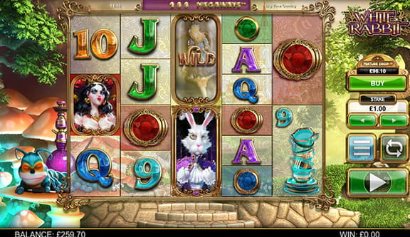 White Rabbit