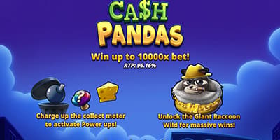 Cash Pandas