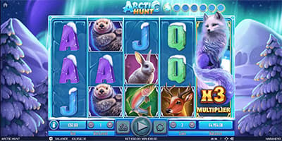 Arctic Hunt