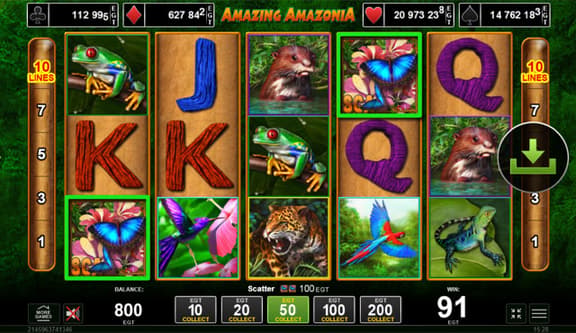 Amazing Amazonia