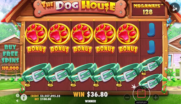 The Dog House Megaways
