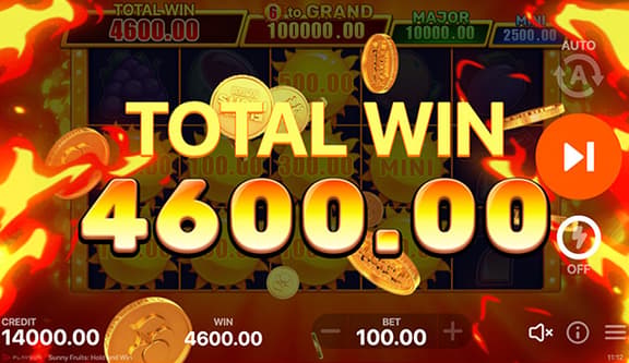 Sunny Fruits: Hold and Win