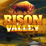 Bison Valley