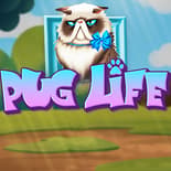 Pug Life