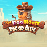 The Dog House – Dog or Alive