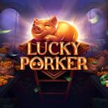 Lucky Porker