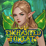 Enchanted Forest 