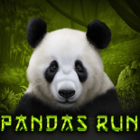Panda's Run