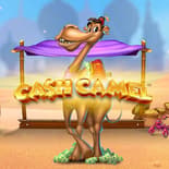 Cash Camel