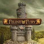 Feline Fury