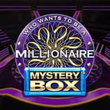 Millionaire Mystery Box