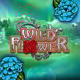 Wild Flower