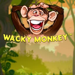 Wacky Monkey