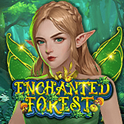 Enchanted Forest 