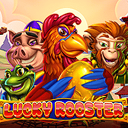 Lucky rooster