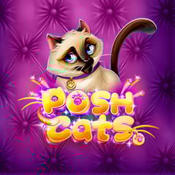 Posh Cats