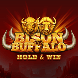 Bison vs Buffalo
