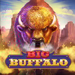 Big Buffalo