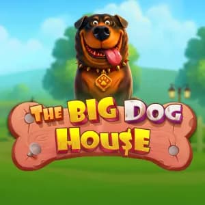 The Big Dog House