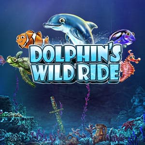 Dolphin's Wild Ride