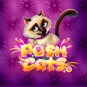 Posh Cats