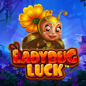 Ladybug Luck