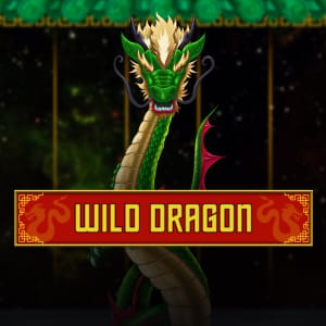 Wild Dragon