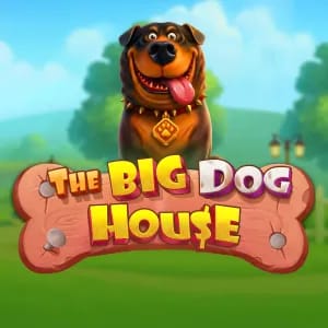 The Big Dog House