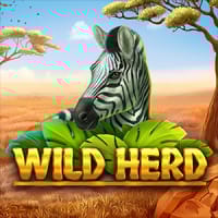 Wild Herd