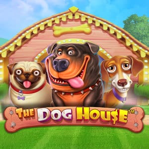 The Dog House