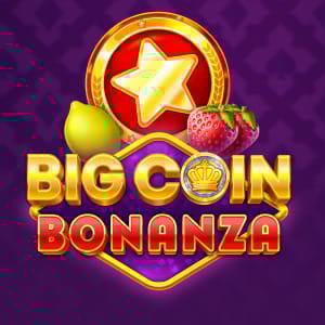 Big Coin Bonanza