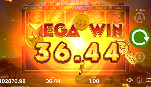 Lion Gems: Hold and Win