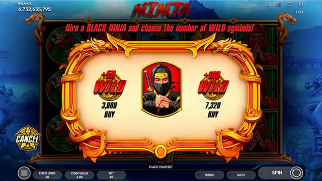 Ninja