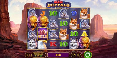 Big Buffalo
