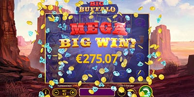 Big Buffalo