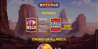 Big Buffalo
