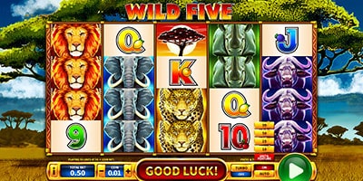 Wild Five
