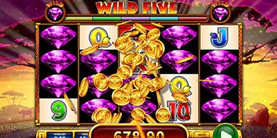 Wild Five