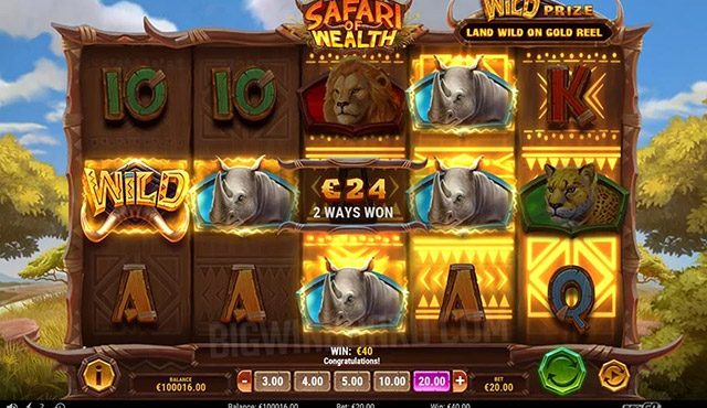 Safari of Wealth