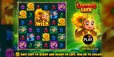 Ladybug Luck