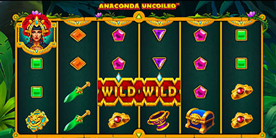 Anaconda Uncoiled™