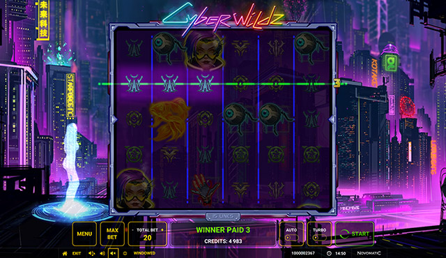 Cyber Wildz