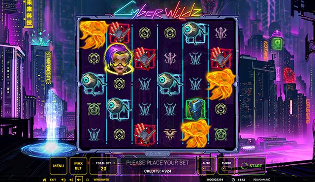 Cyber Wildz