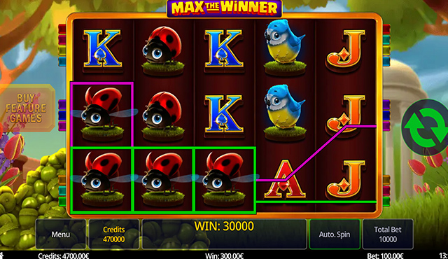 Max the Winner