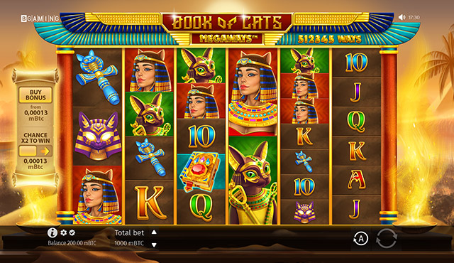 Book of Cats Megaways