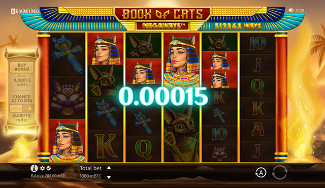 Book of Cats Megaways